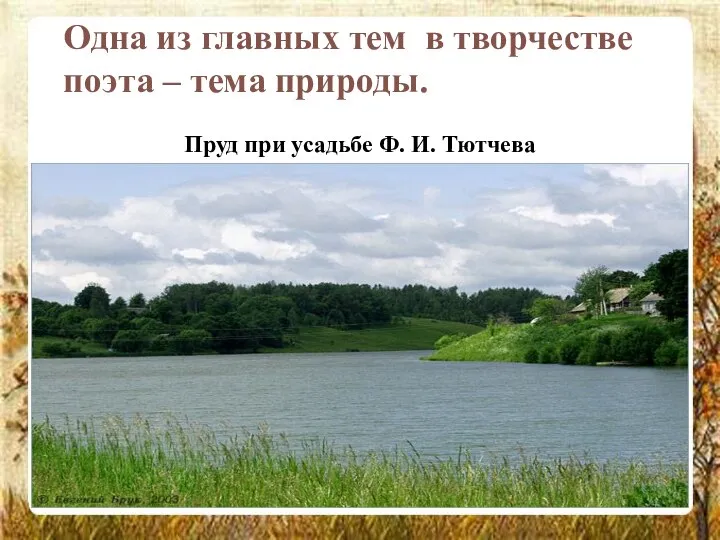 Одна из главных тем в творчестве поэта – тема природы. Пруд при усадьбе Ф. И. Тютчева