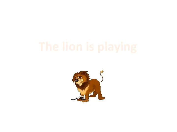 The lion is playing