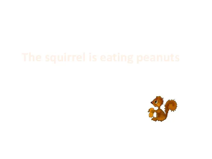 The squirrel is eating peanuts