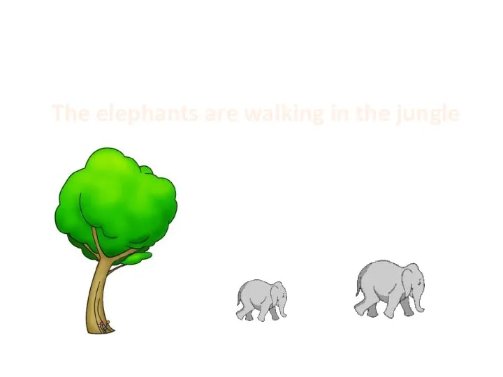 The elephants are walking in the jungle