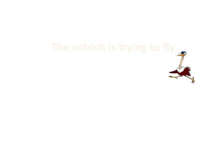 The ostrich is trying to fly