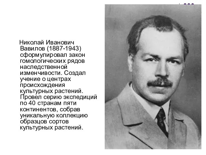 Николай Иванович Вавилов (1887-1943) сформулировал закон гомологических рядов наследственной изменчивости. Создал учение