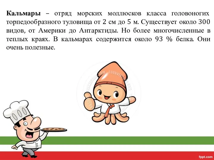 Кальмары – отряд морских моллюсков класса головоногих торпедообразного туловища от 2 см