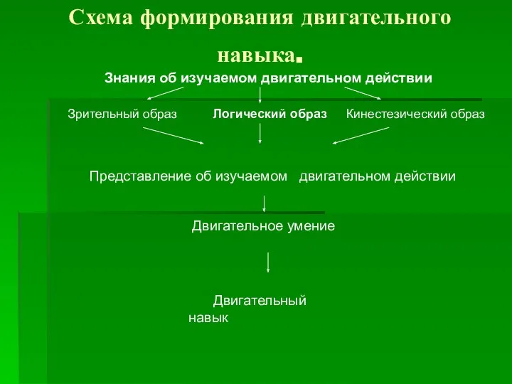 Схема формирования двигательного навыка. Знания об изучаемом двигательном действии Зрительный образ Логический