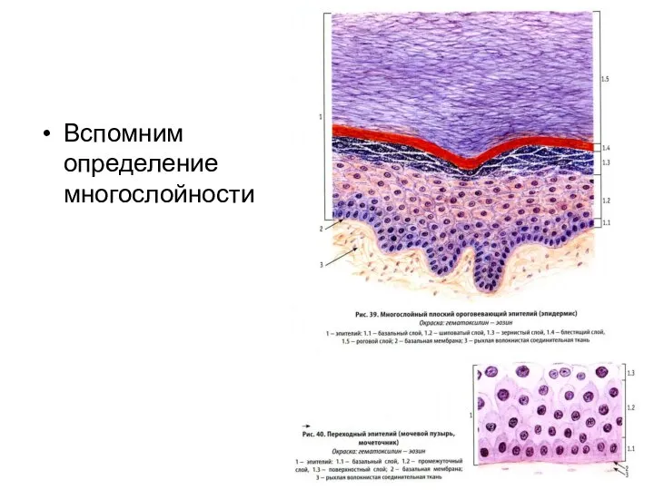 Вспомним определение многослойности