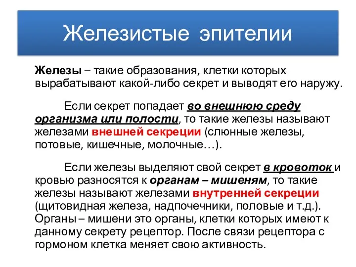 Железистые эпителии Железы – такие образования, клетки которых вырабатывают какой-либо секрет и