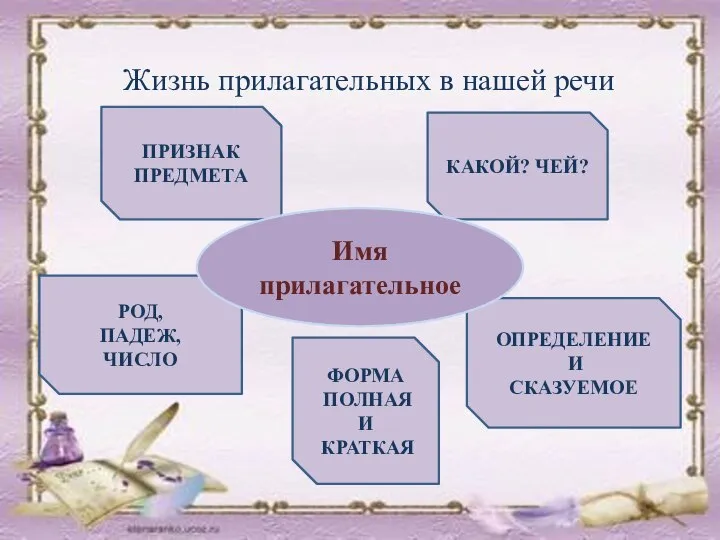 Жизнь прилагательных в нашей речи ПРИЗНАК ПРЕДМЕТА ФОРМА ПОЛНАЯ И КРАТКАЯ РОД,