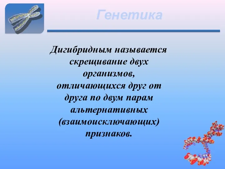 Генетика Дигибридным называется скрещивание двух организмов, отличающихся друг от друга по двум парам альтернативных (взаимоисключающих) признаков.