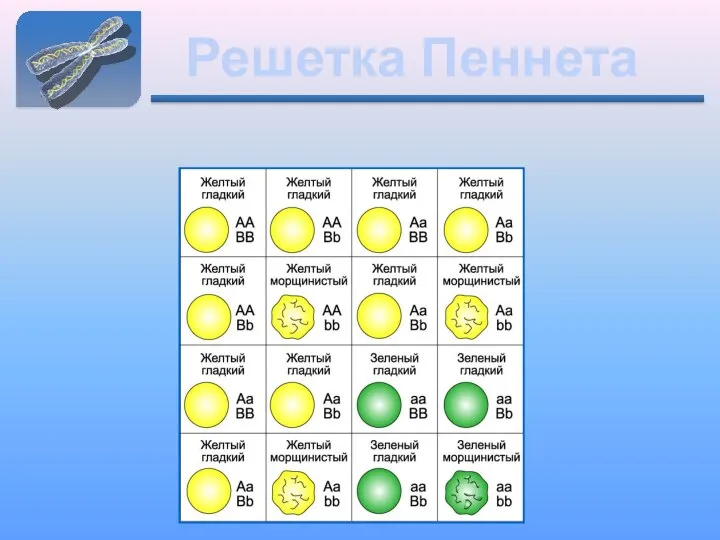 Решетка Пеннета