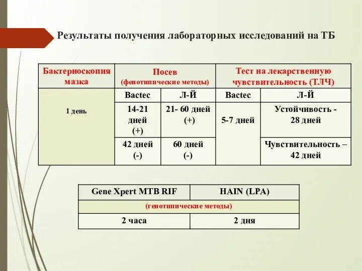 Результаты получения лабораторных исследований на ТБ