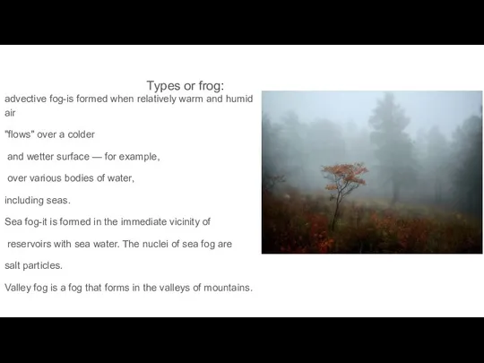 Types or frog: advective fog-is formed when relatively warm and humid air