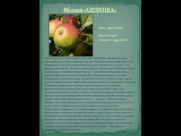 Яблоня «ОРЛИНКА» Летний сорт яблони, полученный в 1978 году во ВНИИСПК. Деревья