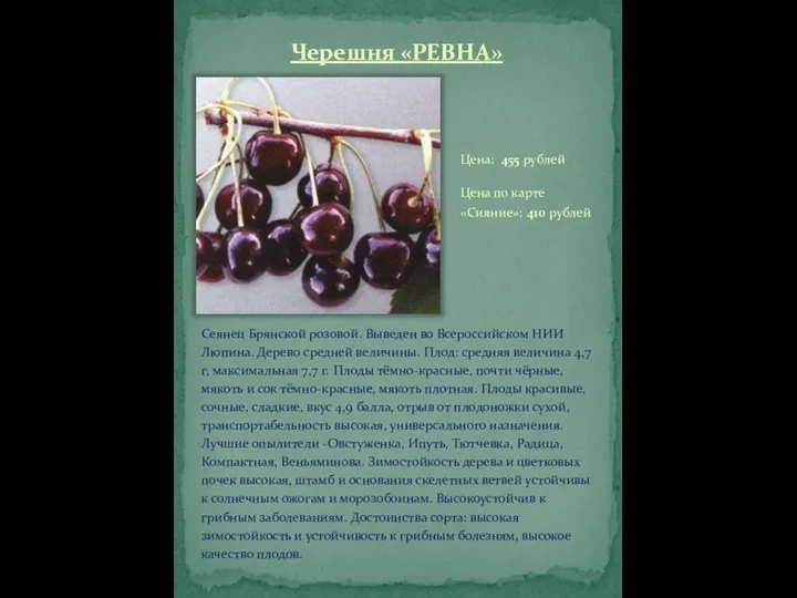 Черешня «РЕВНА» Сеянец Брянской розовой. Выведен во Всероссийском НИИ Люпина. Дерево средней