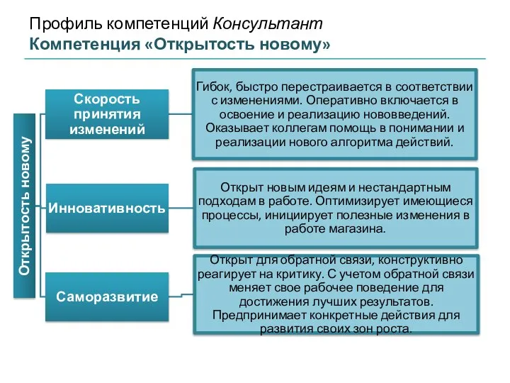 Профиль компетенций Консультант Компетенция «Открытость новому»