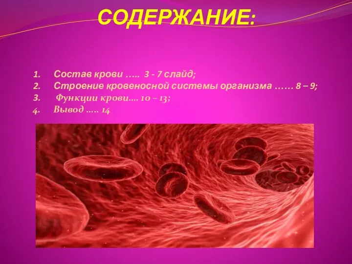 СОДЕРЖАНИЕ: Состав крови ….. 3 - 7 слайд; Строение кровеносной системы организма