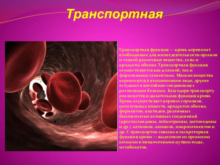 Транспортная Транспортная функция — кровь переносит необходимые для жизнедеятельности органов и тканей