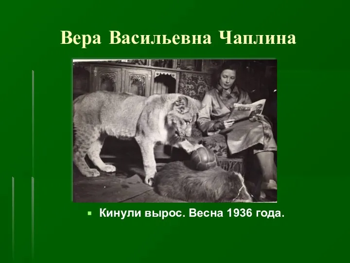 Вера Васильевна Чаплина Кинули вырос. Весна 1936 года.