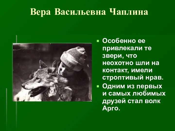 Вера Васильевна Чаплина Особенно ее привлекали те звери, что неохотно шли на