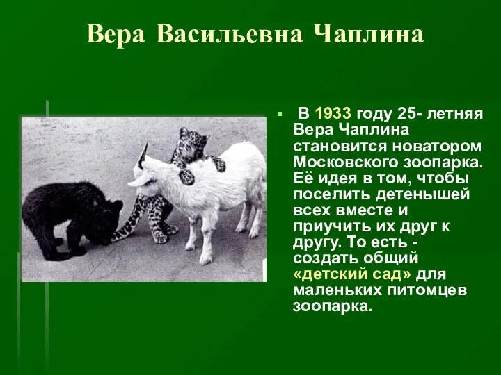 Вера Васильевна Чаплина В 1933 году 25- летняя Вера Чаплина становится новатором