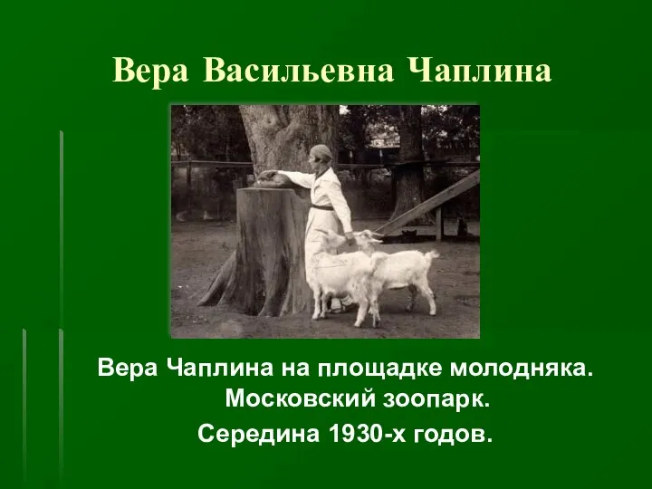 Вера Васильевна Чаплина Вера Чаплина на площадке молодняка. Московский зоопарк. Середина 1930-х годов.