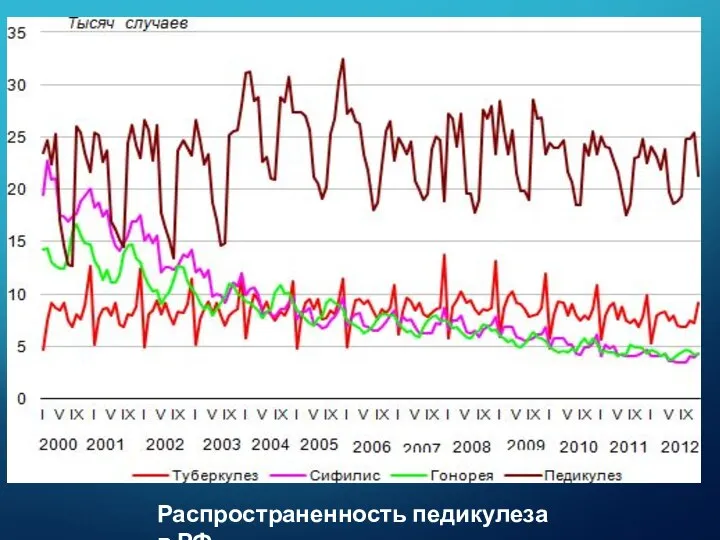 Распространенность педикулеза в РФ