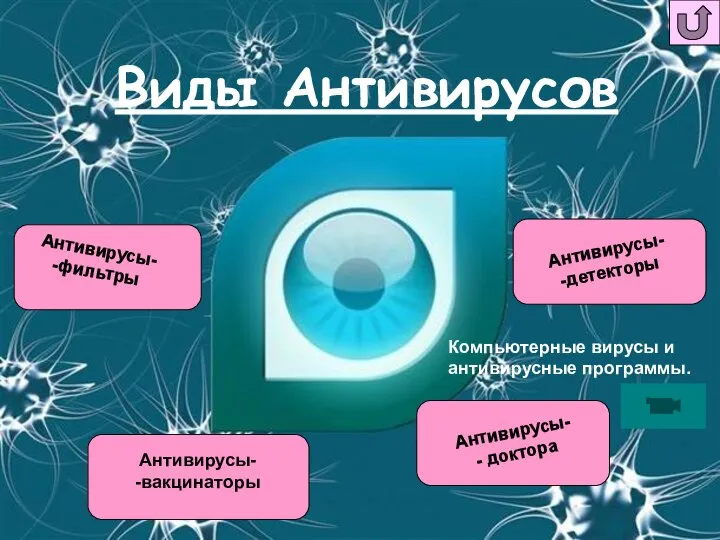 Виды Антивирусов Антивирусы- -фильтры Антивирусы- -детекторы Антивирусы- -вакцинаторы Антивирусы- - доктора Компьютерные вирусы и антивирусные программы.