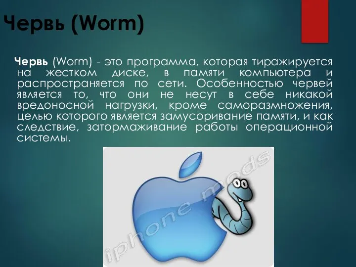 Червь (Worm) Червь (Worm) - это программа, которая тиражируется на жестком диске,