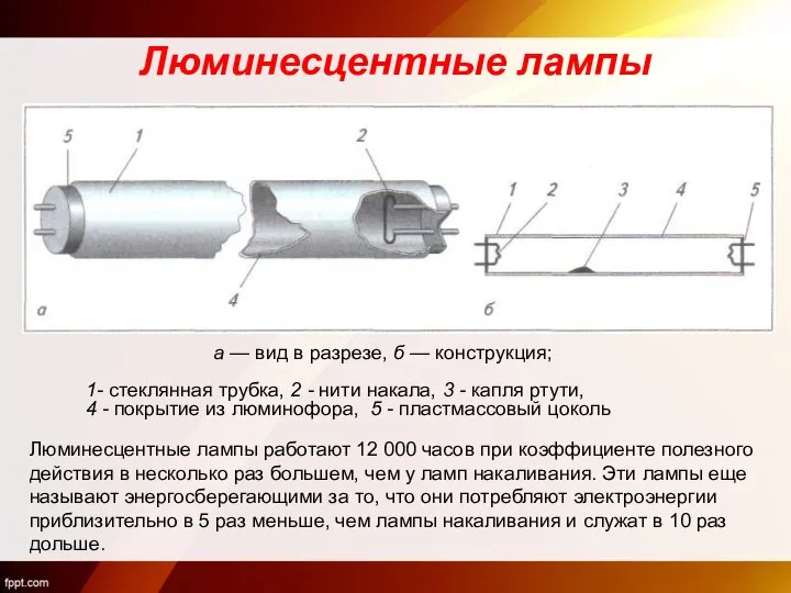 Люминесцентные лампы а — вид в разрезе, б — конструкция; 1- стеклянная