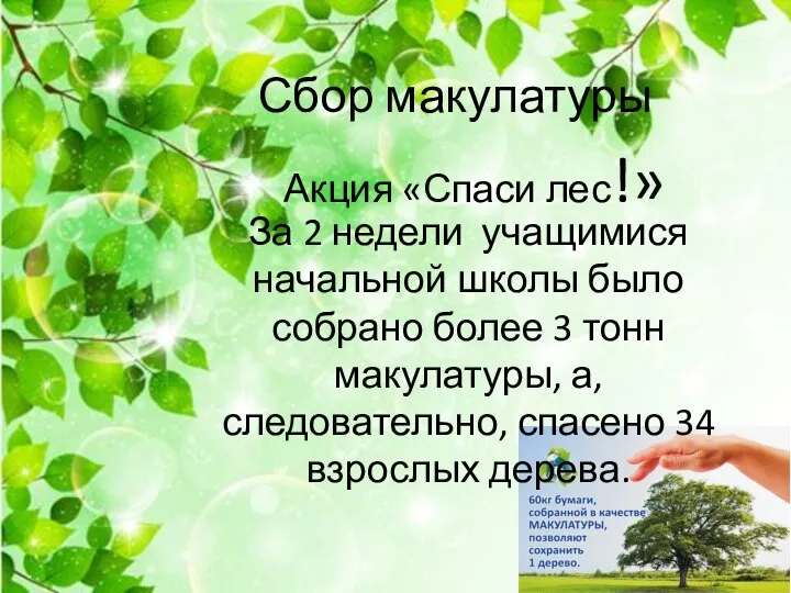 Сбор макулатуры Акция «Спаси лес!» За 2 недели учащимися начальной школы было