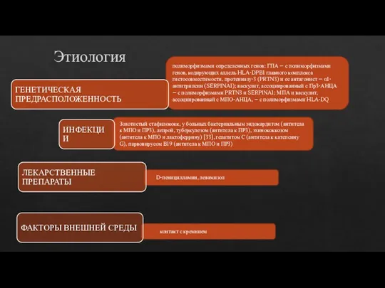 Этиология полиморфизмами определенных генов: ГПА – с полиморфизмами генов, кодирующих аллель HLA-DPB1