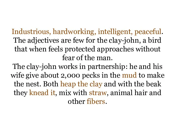 Industrious, hardworking, intelligent, peaceful. The adjectives are few for the clay-john, a