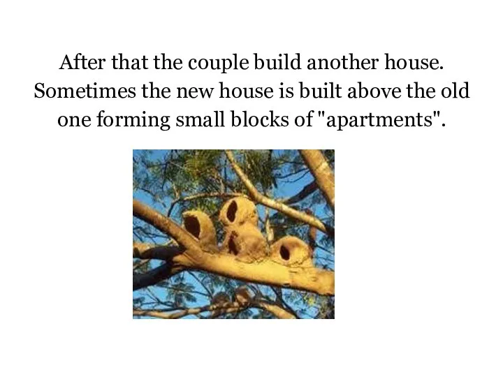 After that the couple build another house. Sometimes the new house is