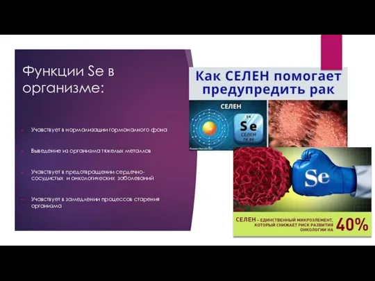 Функции Se в организме: Учавствует в нормализации гормоналного фона Выведение из организма