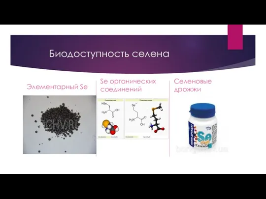 Биодоступность селена Элементарный Se Se органических соединений Селеновые дрожжи