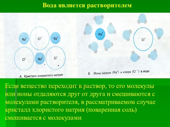 Вода является растворителем Если вещество переходит в раствор, то его молекулы или