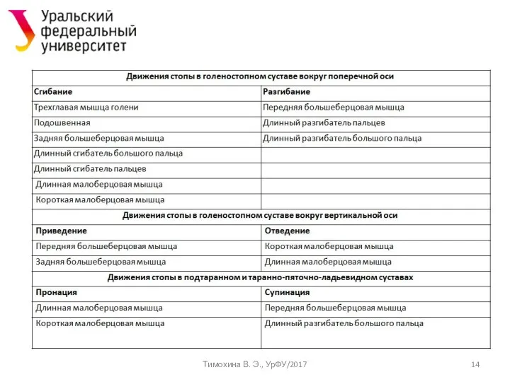 Тимохина В. Э., УрФУ/2017