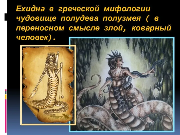 Ехидна в греческой мифологии чудовище полудева полузмея ( в переносном смысле злой, коварный человек).