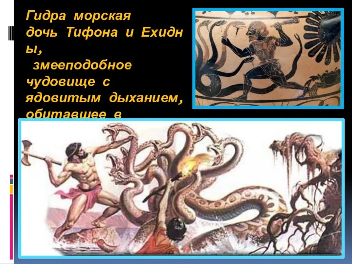 Гидра морская дочь Тифона и Ехидны, змееподобное чудовище с ядовитым дыханием, обитавшее