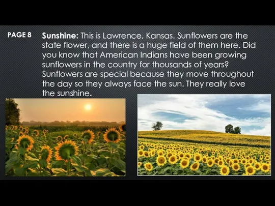 PAGE 8 Sunshine: This is Lawrence, Kansas. Sunflowers are the state flower,