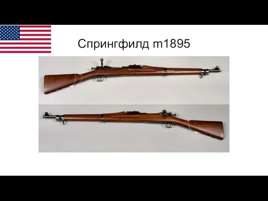 Спрингфилд m1895