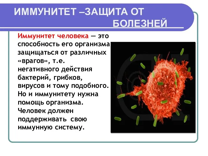 ИММУНИТЕТ –ЗАЩИТА ОТ БОЛЕЗНЕЙ Иммунитет человека — это способность его организма защищаться