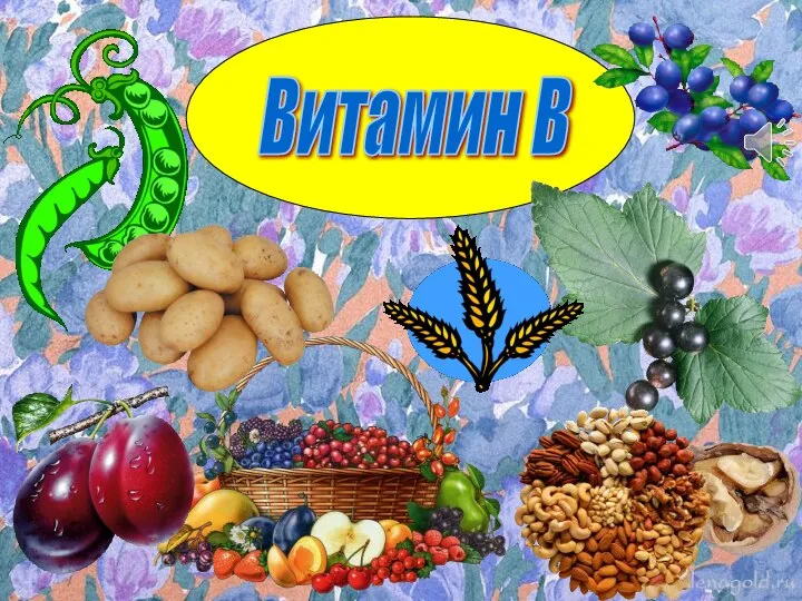 Витамин В