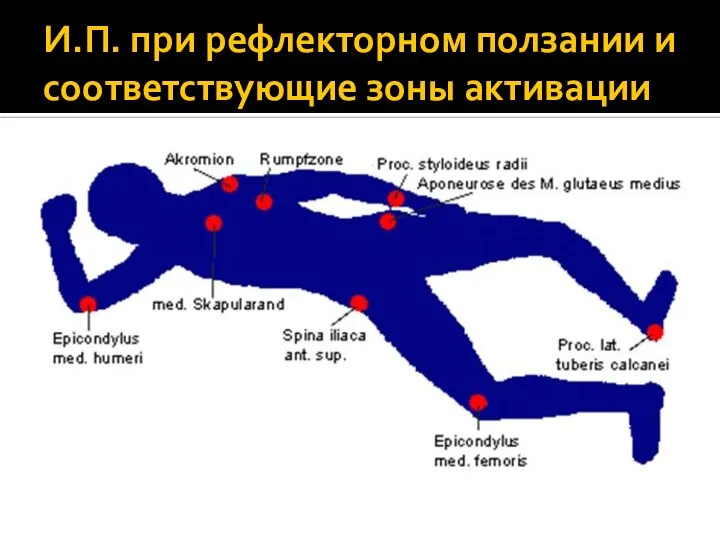 И.П. при рефлекторном ползании и соответствующие зоны активации