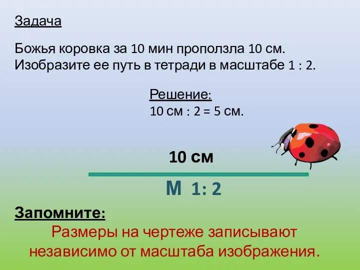 Задача Божья коровка за 10 мин проползла 10 см. Изобразите ее путь