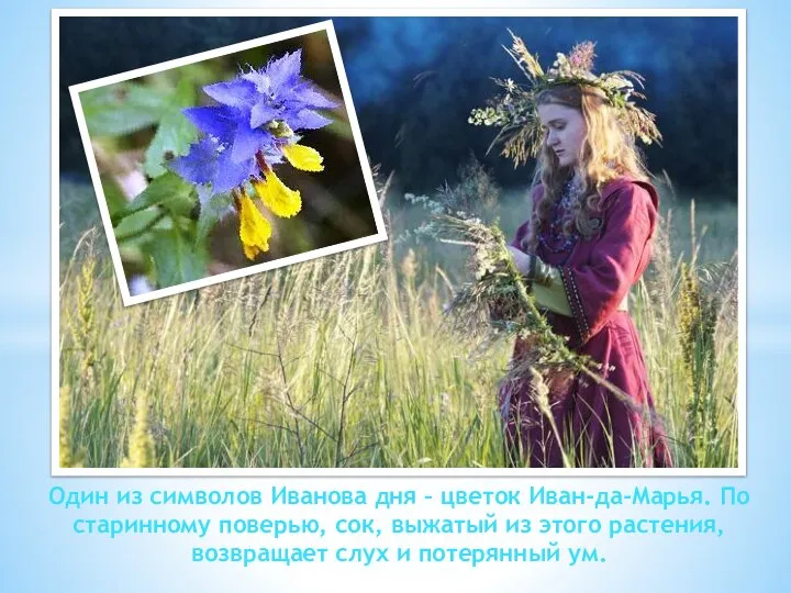 Один из символов Иванова дня – цветок Иван-да-Марья. По старинному поверью, сок,