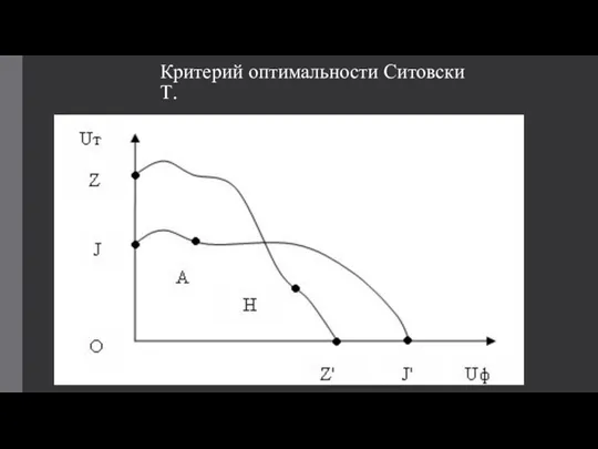 Критерий оптимальности Ситовски Т.