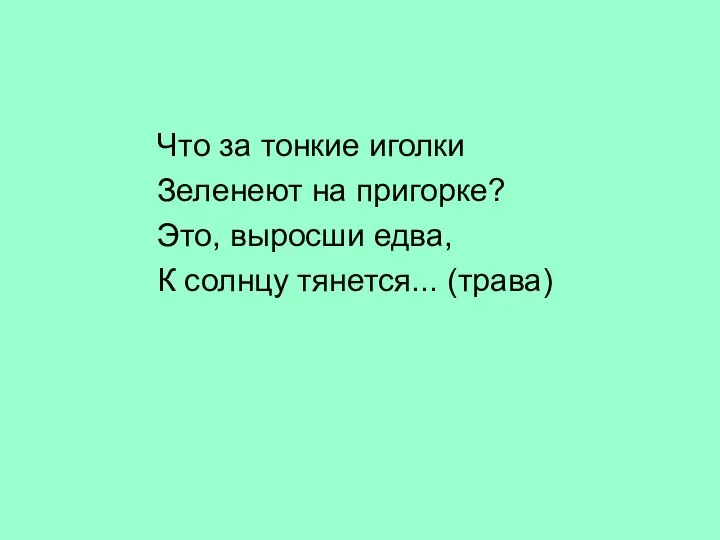 Что за тонкие иголки Зеленеют на пригорке? Это, выросши едва, К солнцу тянется... (трава)