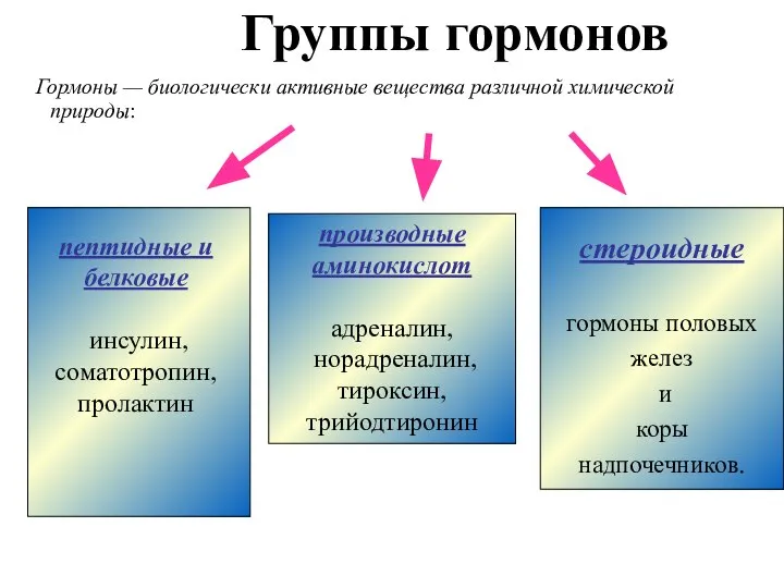 Группы гормонов Гормоны — биологически активные вещества различной химической природы: производные аминокислот