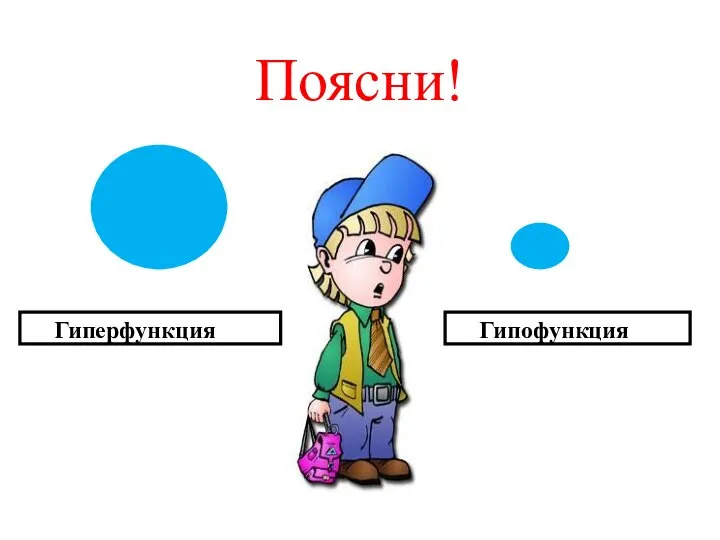 Поясни! Гиперфункция Гипофункция