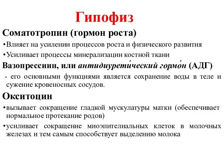 Соматотропин (гормон роста) Влияет на усилении процессов роста и физического развития Усиливает